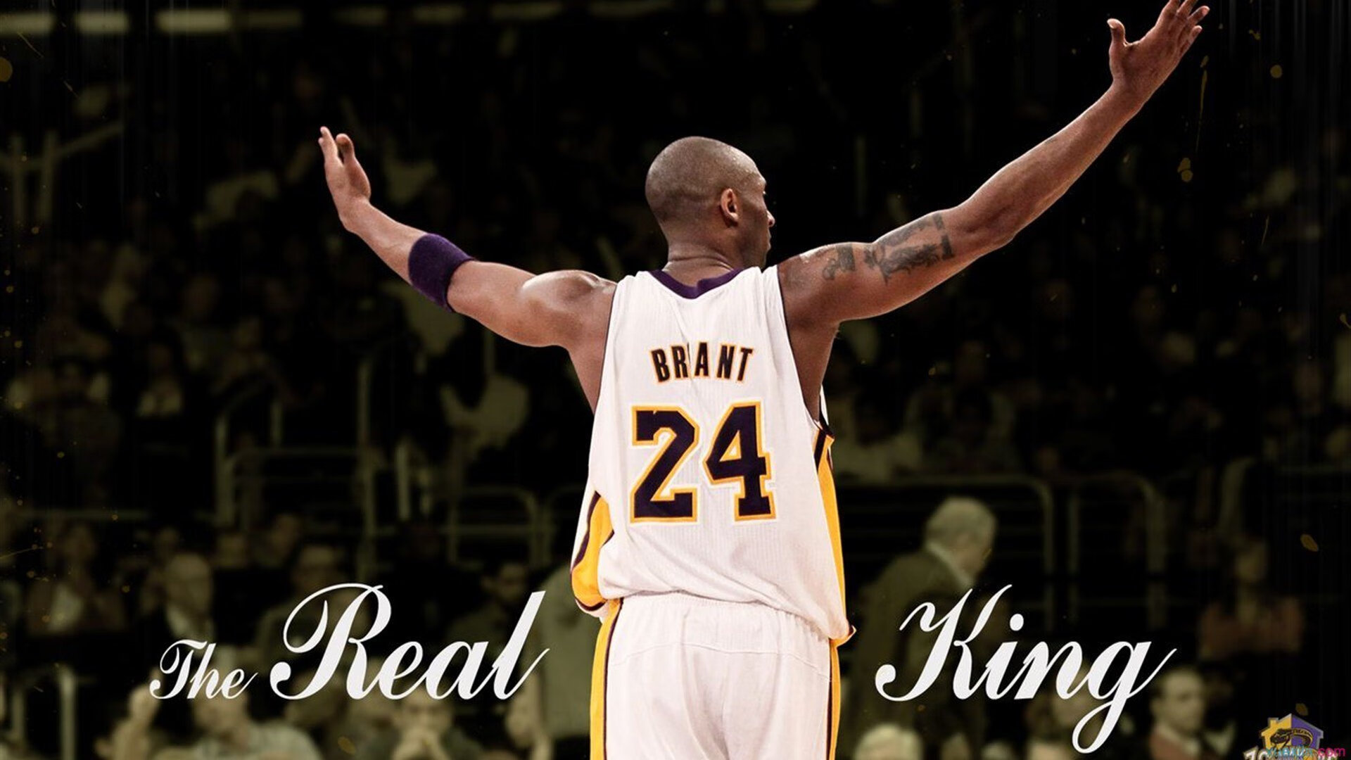 意甲风云再起：锋线突破引领风潮！，意甲巅峰时期的巨星